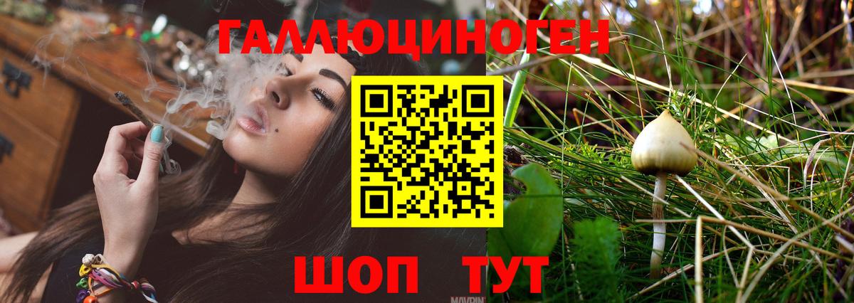 Псилоцибиновые грибы Psilocybe  Псилоцибиновые грибы Magic Shrooms  Вход с VPN  Серпухов 